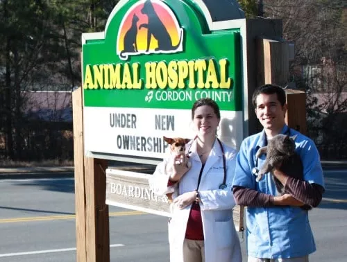 Animal Hospital of Gordon County, Georgia, Calhoun